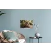 Dennenappels - Kerstsfeer - Bruin - Groen Muursticker klein -plant