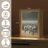 Zwanen - Wit - Water - Mist Light Box met kabel (Tafellamp) klein -USP_NL