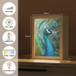 Pauw - Veren - Blauw Light Box met kabel (Kinderlampje) klein -USP_FR