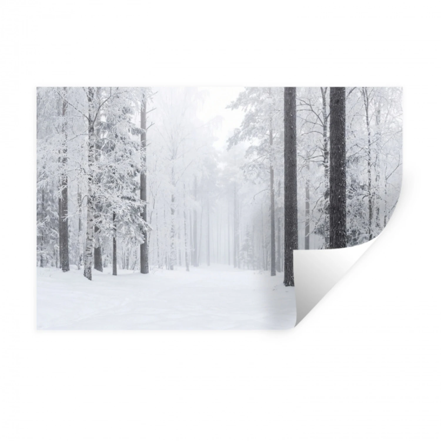 Bos - Sneeuw - Pad - Winter - Stilte Muursticker klein -3d