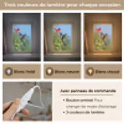 Kolibrie - Bloem - Natuur - Groen Light Box met kabel (Kinderlampje) klein -USP_lichtkleurFR