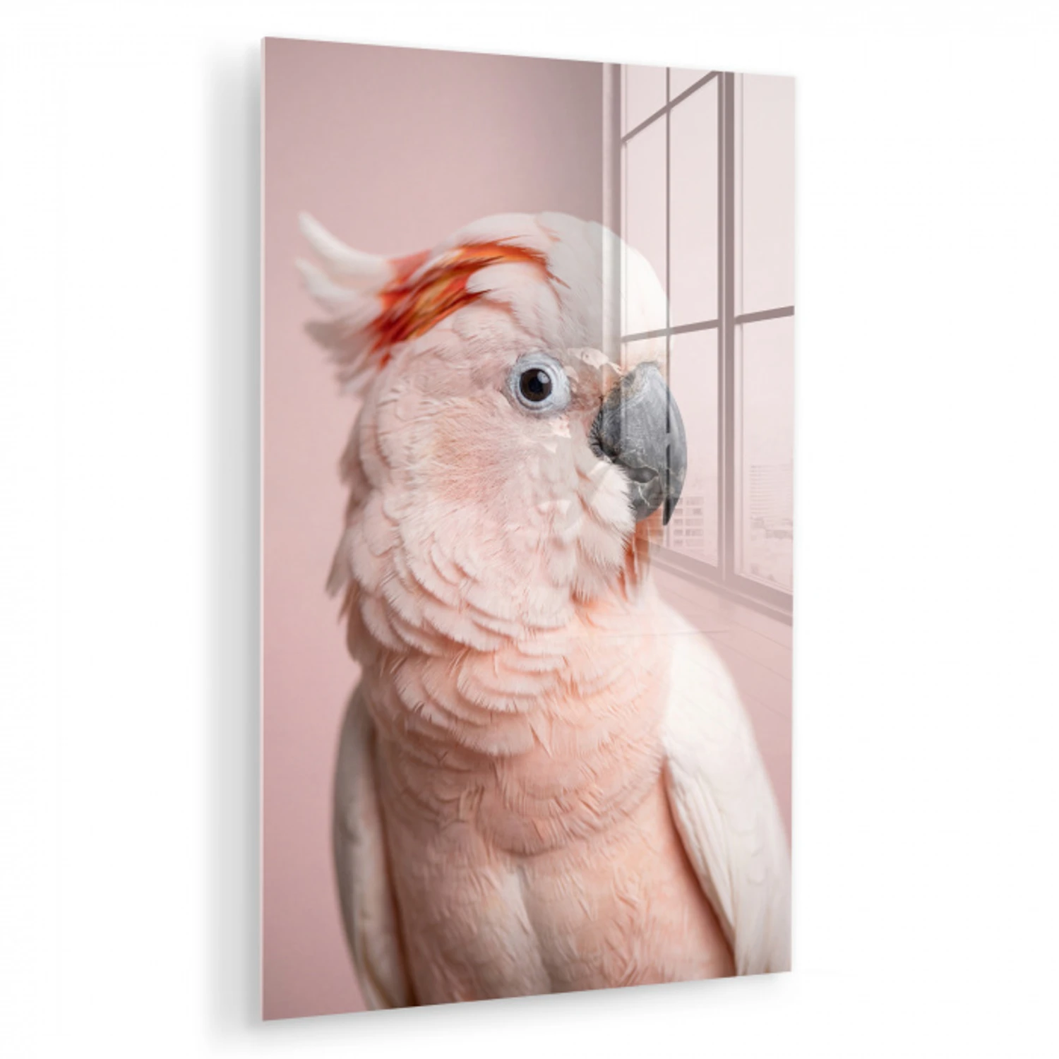 Kaketoe - Portret - Roze plexiglas 5mm klein -zzzproduct_nieuw