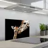 Giraffe - Dieren - Zwart - Portret - Dieren keuken achterwand spatscherm klein -3d_schuin