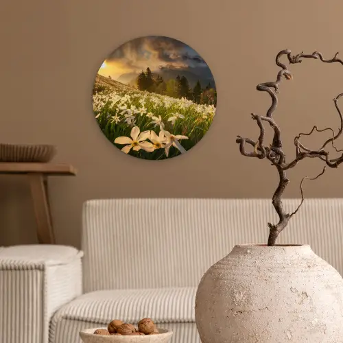 Bloemenveld - Heuvels - Zonsondergang - Berg - Natuur - Wit - Heuvels Wandcirkel kunststof plaat 5mm dik klein -sfeer1