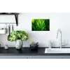 Grassprieten - Lichtinval - Groen Muursticker klein -keuken