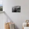 Schotse hooglander - Kalf - Zwart - Wit tuinposter los doek klein -sfeer8