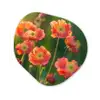 Bloemenveld - Zonnestralen - Oranje Wandcirkel Organisch Forex 3mm klein -3d