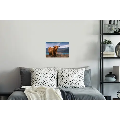 Schotse Hooglander - Berg - Water - Natuur - Koe Muursticker klein -slaapkamer