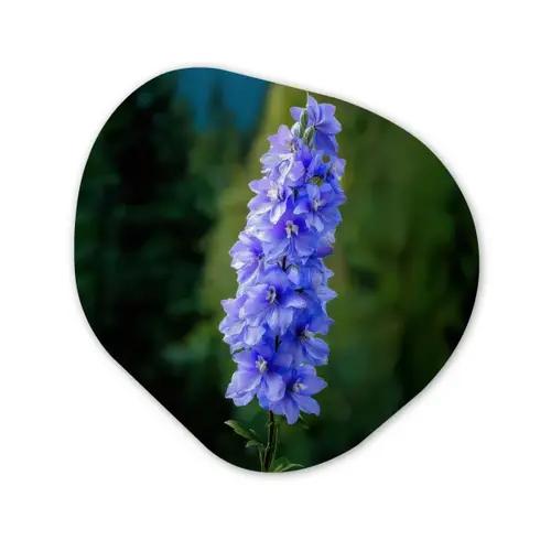 Bloemen - Blauw - Dennenboom Wandcirkel Organisch Forex 3mm klein -3d