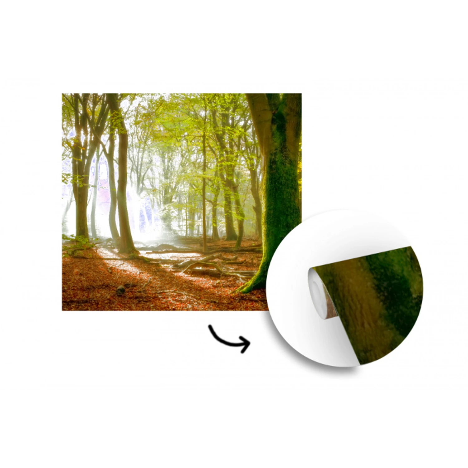 Bos - Zon - Seizoenen - Landschap fotobehang vinyl groot -3d