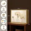 Zonlicht - Paardenbloem - Botanisch - Bloemen Light Box met batterij (Wandlamp) middel -USP_websiteoverzichtNL