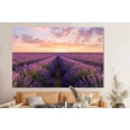 Landschap - Lavendelveld - Paars forex 5mm xxl -bovenbank