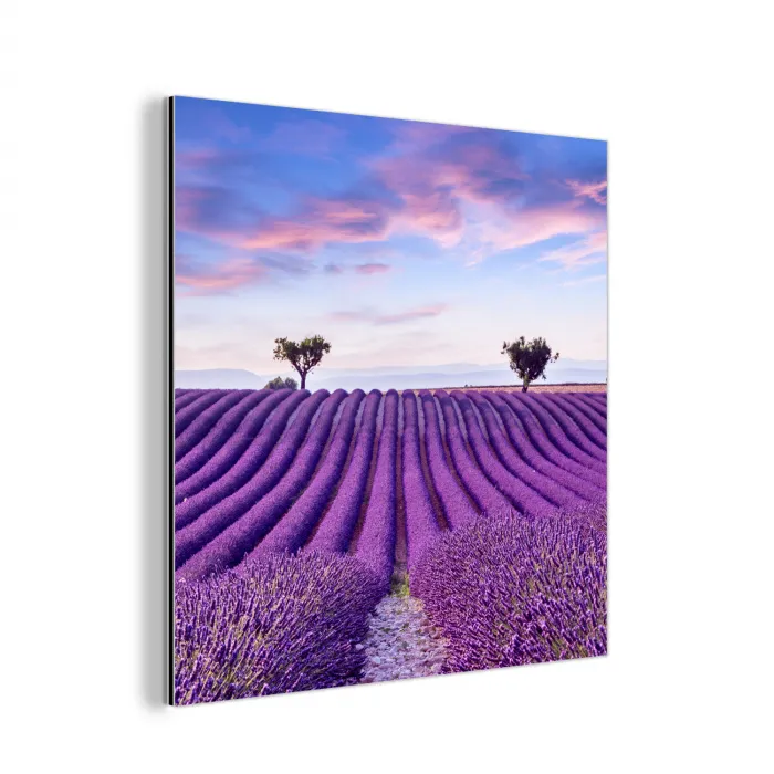 Lavendel - Natuur - Paars - Bomen - Bloemen aluminium wit klein -3d