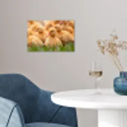 Pijltje - Eend - Natuur - Geel poster papier klein -sfeer3