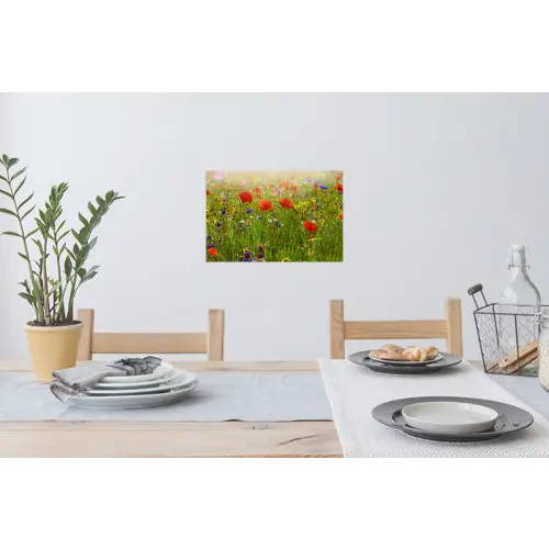 Lente - Bloemen - Rood - Klaproos - Gras - Groen Muursticker klein -eettafel