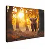 Schotse hooglander - Bos - Herfst - Dieren - Natuur - Bladeren Tuinposter op houten frame 2 cm dik klein -3d