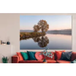 Bomen - Reflectie - Water - Zonsopgang - Serene forex 5mm xxl -woonkamer