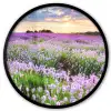 Lavendel - Bloemen - Zonsondergang - Paars - Weide Fotolijst rond zonder passe partout klein -3d