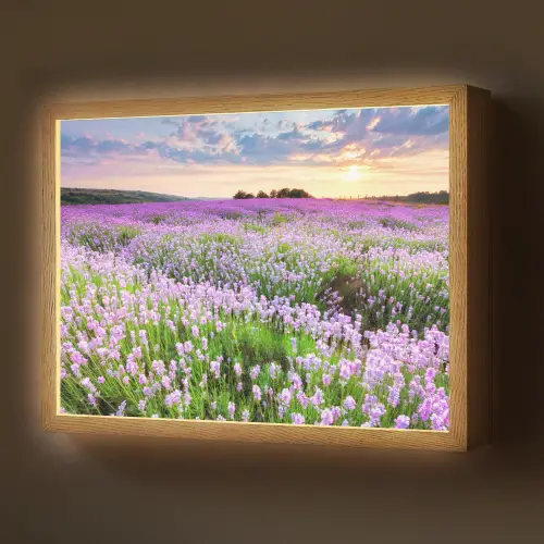 Lavendel - Bloemen - Zonsondergang - Paars - Weide Light Box met batterij (Wandlamp) middel -z3d_website