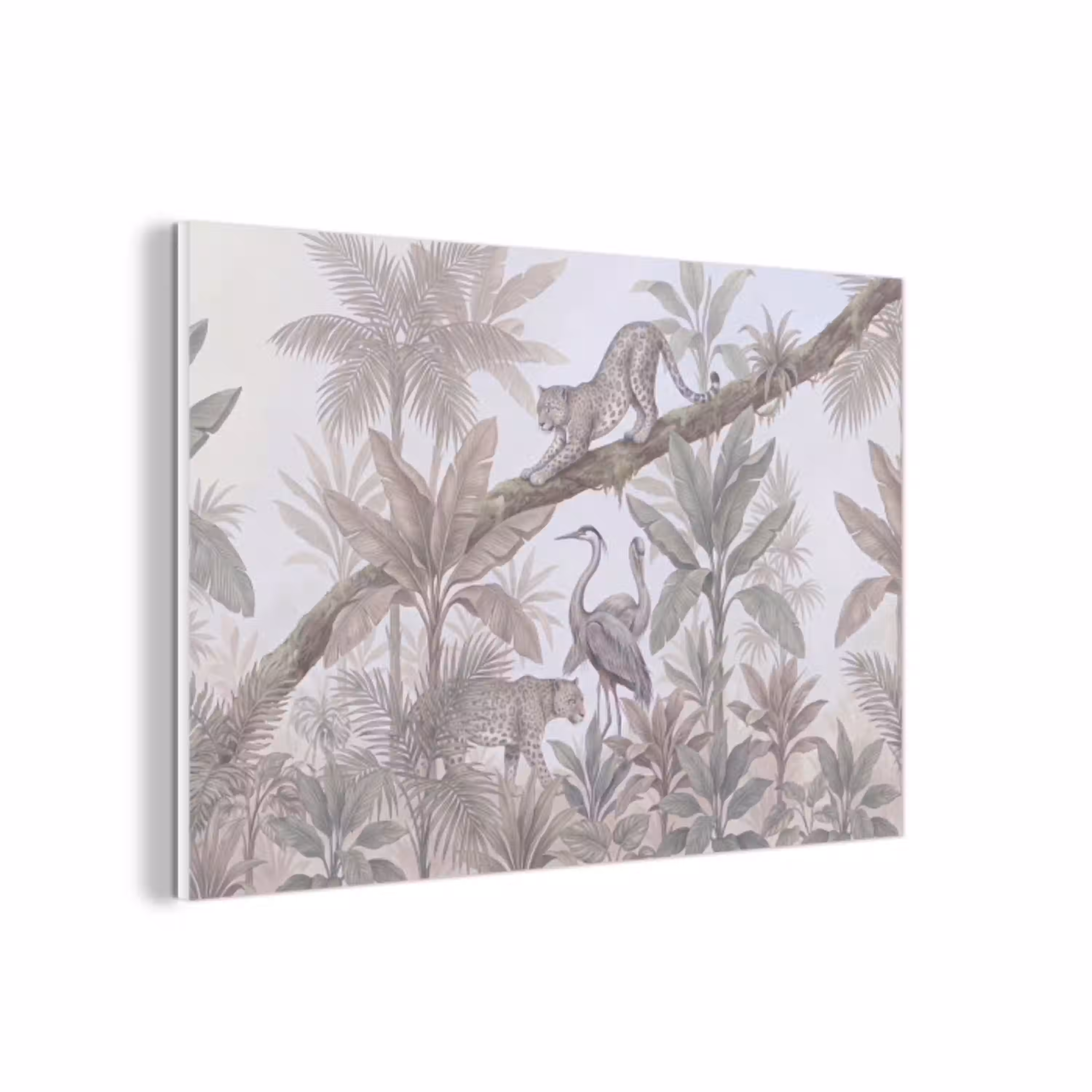 Kat - Vogel - Jungle - Illustratie - Dieren forex 5mm xxl -3d