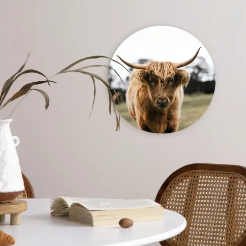 Schotse Hooglander -  Koe - Gras - Dieren - Natuur Wandcirkel kunststof plaat 5mm dik klein -sfeer4
