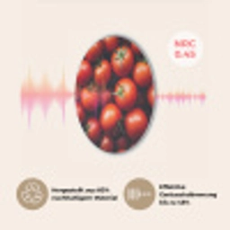Groente - Rood - Tomaten Akoestische PET Vilt - Rond klein -USP_DE