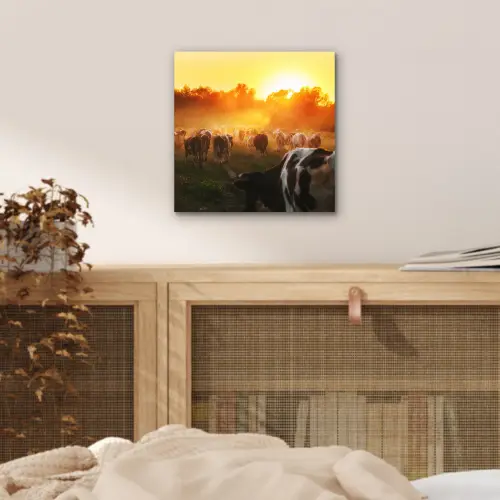 Koeien - Zonsondergang - Weiland - Dieren aluminium wit klein -sfeer3