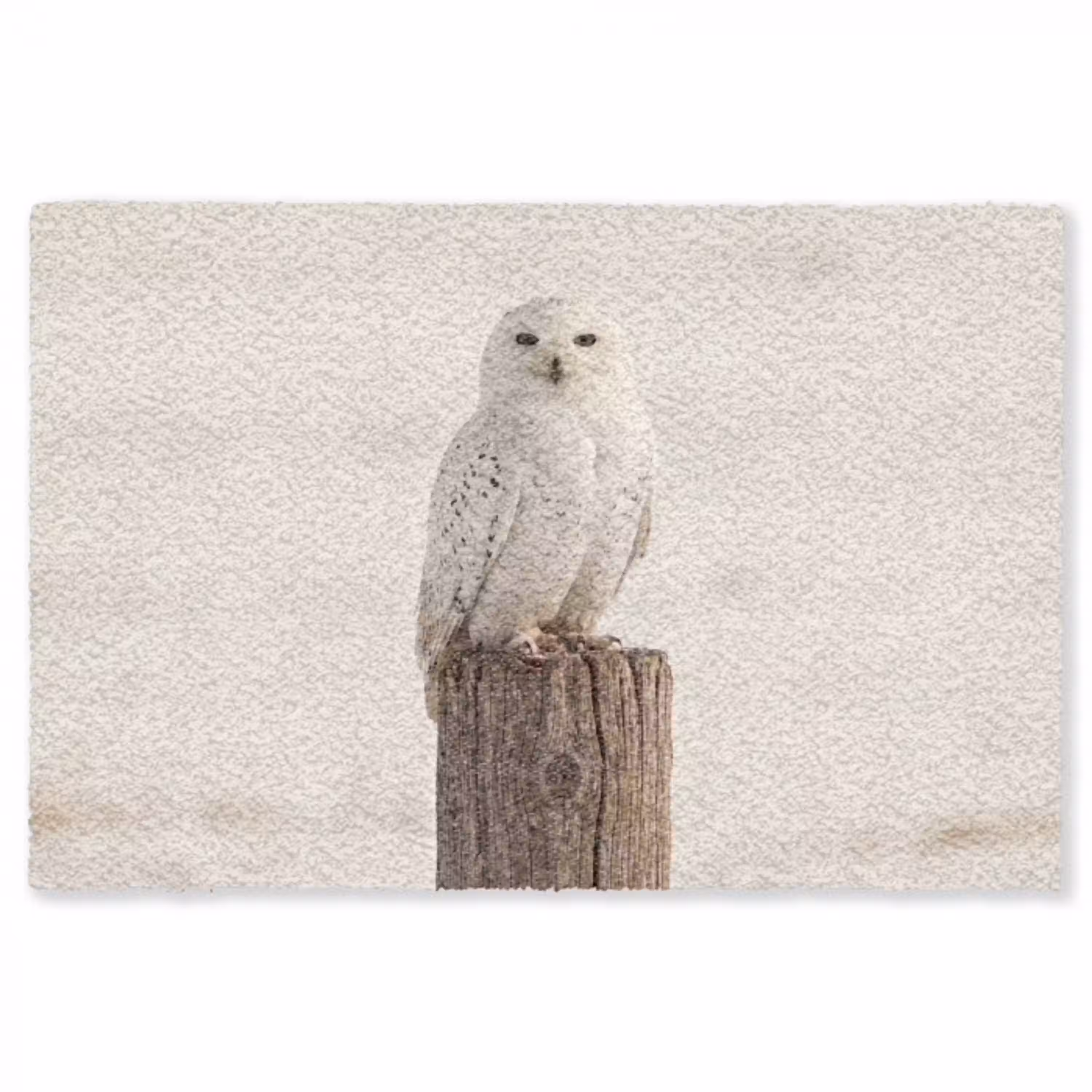 Sneeuwuil - Paal - Winter - Portret - Majestueus Vloerkleed Rechthoek klein -3d