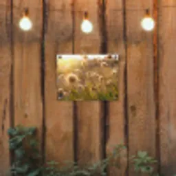 Verlichte zaadhoofden in de avondzon tuinposter los doek klein -sfeer1