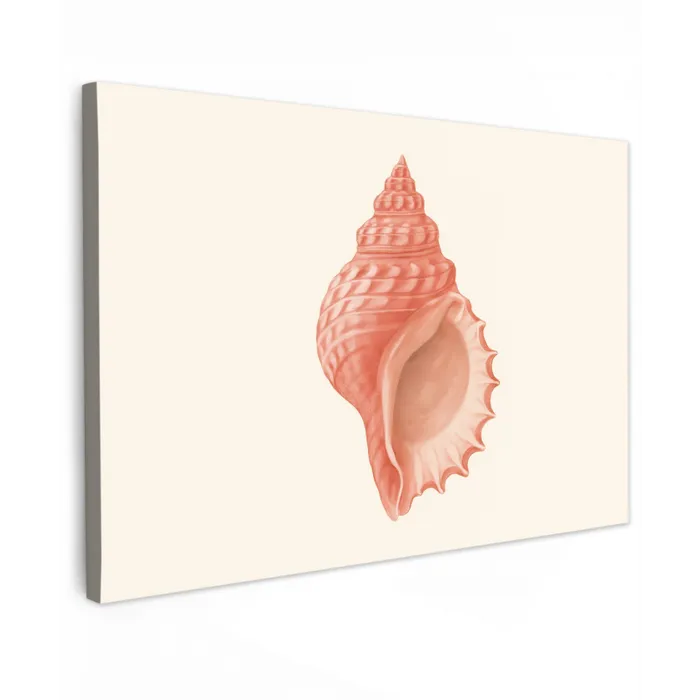 Schelp - Roze - Structuur canvas 2cm klein -z3d