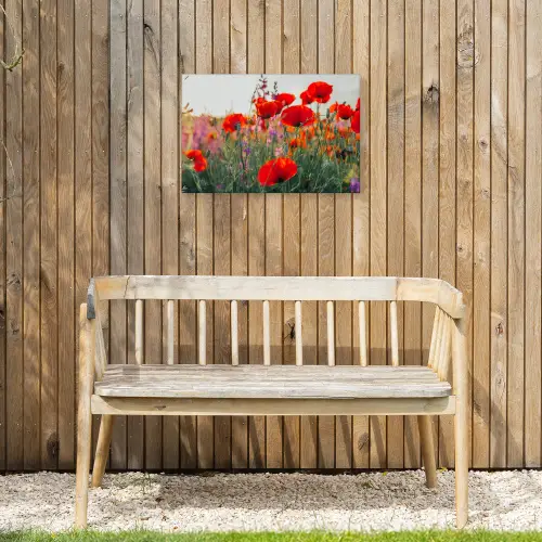 Rode klaprozen in de avondzon Tuinposter op houten frame 2 cm dik klein -sfeer4