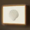 Schelp - Minimalistisch - Wit Light Box met batterij (Wandlamp) middel -z3d_website