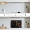 Hond - Sigaar - Hoed - Pak keuken achterwand spatscherm klein -voor_na_NL