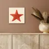 Zeester - Bobbels - Rood aluminium wit klein -sfeer4