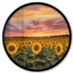 Zonnebloemen - Heuvellandschap - Geel Fotolijst rond zonder passe partout klein -3d