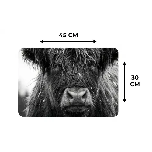 Schotse hooglander - Zwart - Wit - Sneeuwvlokken Placemat vinyl groot -specs