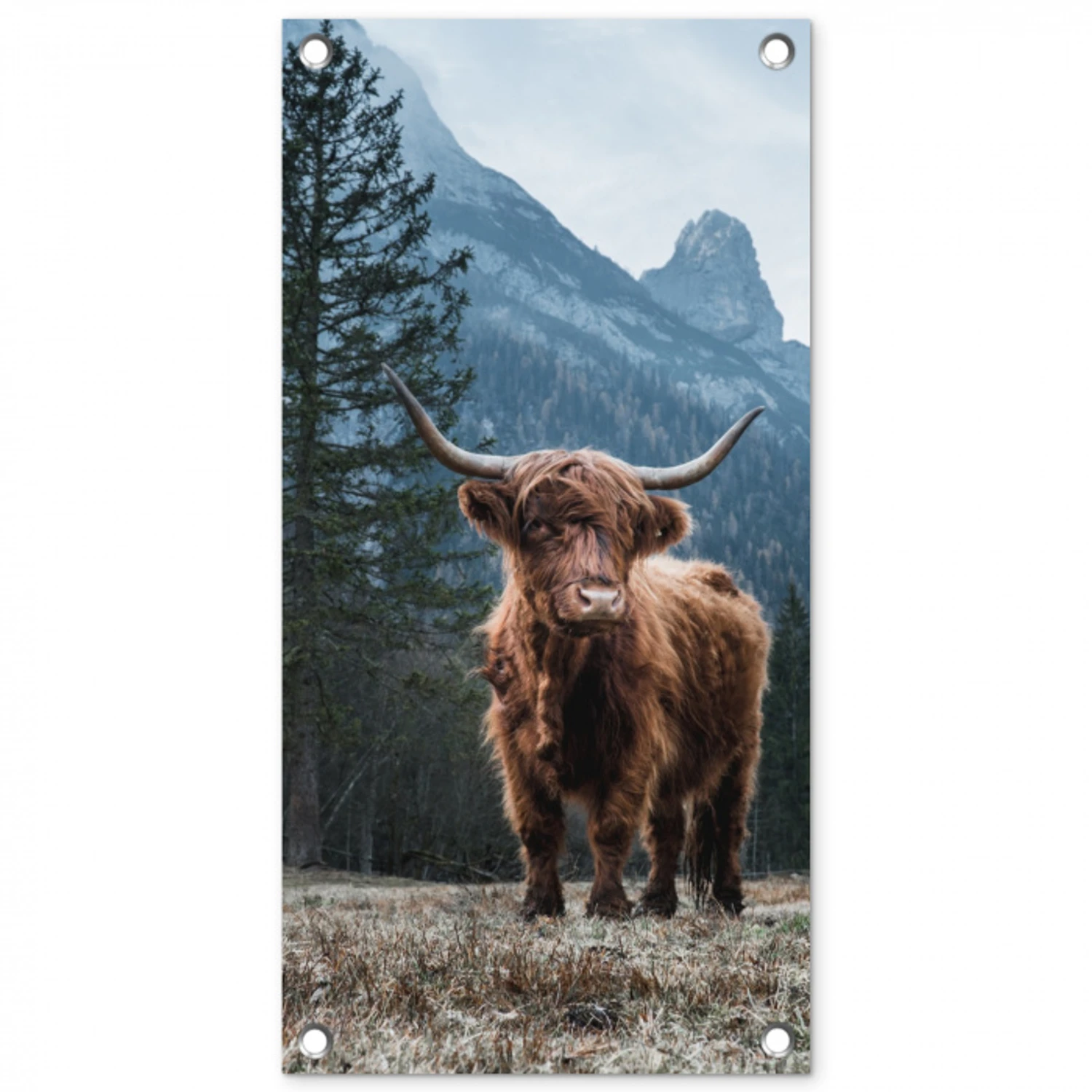 Hooglander voor Bergen tuinposter los doek klein -3d