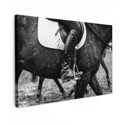 Paard - Sport - Zwart - Wit canvas 2cm klein -z3d