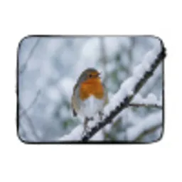 Roodborstje - Tak - Sneeuw - Winter - Levendig laptophoes neopreen klein -3d