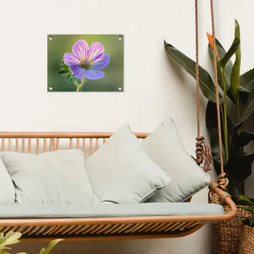 Bloem - Close up - Paars tuinposter los doek klein -sfeer7