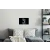 Vis - Koi - Zwart - Water Muursticker klein -slaapkamer