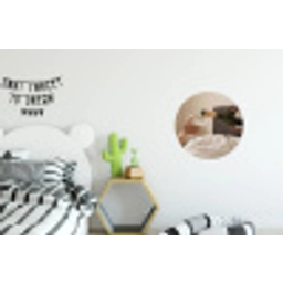 Champagne - Bed - Bubbels Wandcirkel aluminium klein -kinderkamer