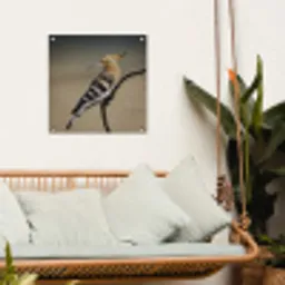 Vogel - Tropisch - Natuur tuinposter los doek klein -sfeer7