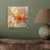 Close up - Oranje - Iris plexiglas 5mm klein -sfeer3