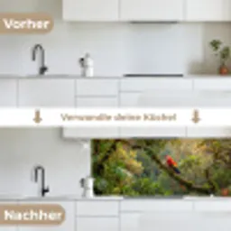 Ara - Jungle - Rood keuken achterwand 2 middel -voor-na_DE