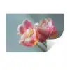 Tulpen - Roze - Stelen Muursticker klein -3d