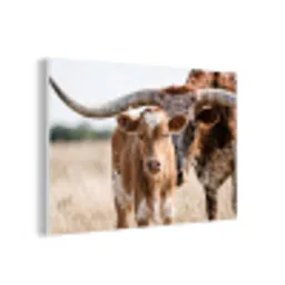 Texas Longhorn - Kalf - Weide - Dieren forex 5mm xxl -3d