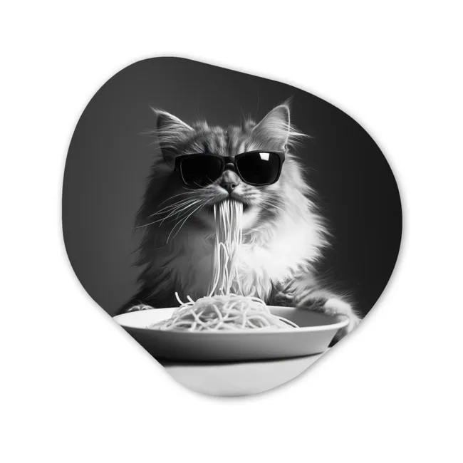 Organisch schilderij aluminium - Langharige kat - Zonnebril - Spaghetti - Humor - Zwart - wit