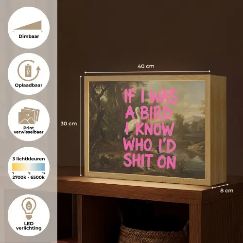 Klassiek - Humor - Roze Light Box met batterij (Wandlamp) middel -USP_websiteoverzichtNL