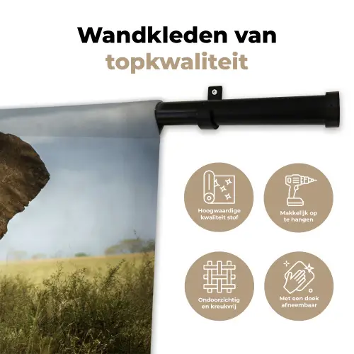 Olifant - Natuur - Gras - Dieren - Landschap Wandkleed katoen klein -sfeer2